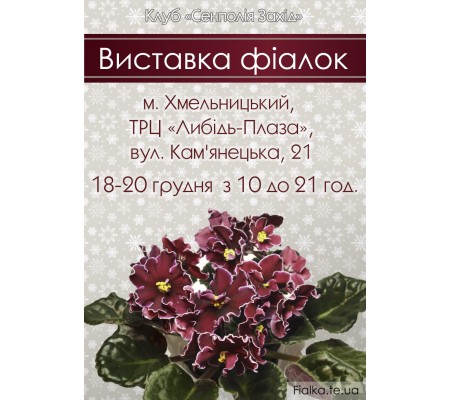 Выставка фиалок в Хмельницком 18-20 декабря 2015 году к дню Святого Николая